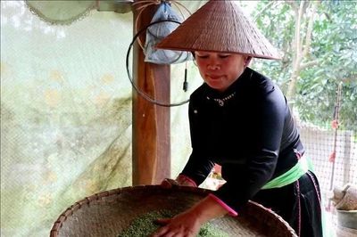 Giữ hồn cốm, nối tiếp nét văn hóa Tày