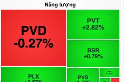 Cổ phiếu dầu khí, phân bón đi ngược thị trường