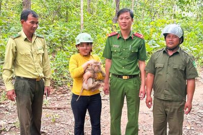 Công an xã Anh Dũng phối hợp vận động người dân thả cá thể khỉ về rừng tự nhiên