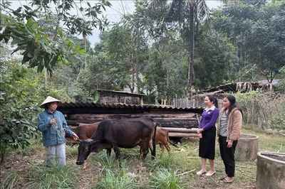 Nội dung, cơ chế, chính sách thực hiện Chương trình mục tiêu quốc gia giai đoạn 2026 - 2035