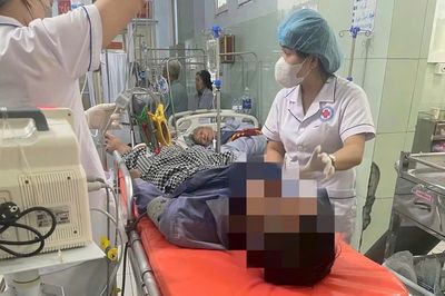 Cứu sống bệnh nhân ngộ độc cá nóc