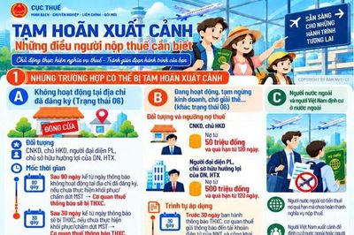 Hai ngưỡng nợ thuế có thể dẫn đến tạm hoãn xuất cảnh