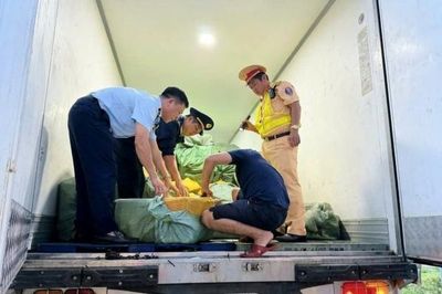 Đồng Nai: Phát hiện gần 15 tấn thực phẩm đông lạnh không rõ nguồn gốc
