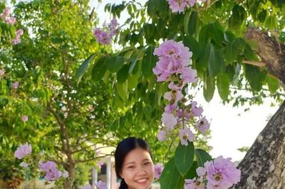 Phố tím bằng lăng quê tôi