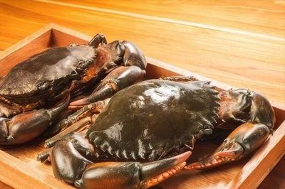 Xuất khẩu cua Việt Nam tăng mạnh: Trung Quốc dẫn sóng, Mỹ bứt phá