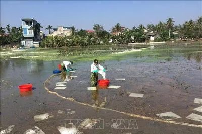 Chỉ thị của Bộ Chính trị về bảo đảm an ninh môi trường trong thời kỳ phát triển mới