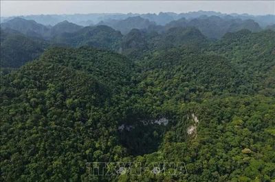 Phát hiện hố sụt sâu 120m trong Vườn Quốc gia Phong Nha - Kẻ Bàng