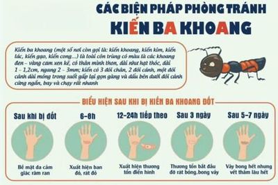 Đầm Dơi tăng cường tuyên truyền phòng, chống kiến ba khoang