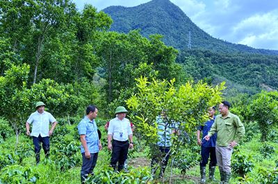 Nắm bắt tâm tư, nguyện vọng Nhân dân