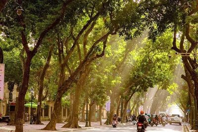 Thời tiết hôm nay (25-10): Nhiều khu vực trên cả nước ngày nắng, gió nhẹ