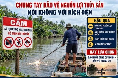 Khai thác thủy sản bằng kích điện, hiểm họa từ cách đánh bắt tận thu