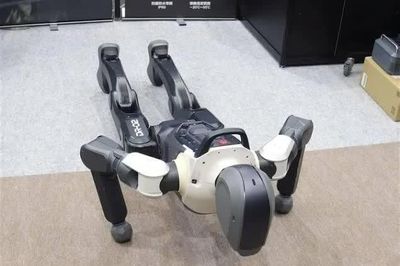 Lần đầu tiên trên thế giới các robot AI vật lý được 'bảo hiểm phi nhân thọ'
