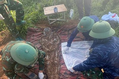 Quảng Trị tìm kiếm, quy tập được 8 hài cốt liệt sĩ tại xã Ái Tử và Vĩnh Linh