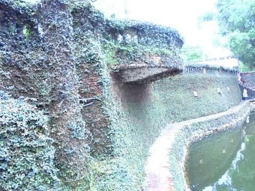 Bức tường ngăn khu biệt thự với hồ điều hòa được cây dây leo phủ kín toàn bộ.