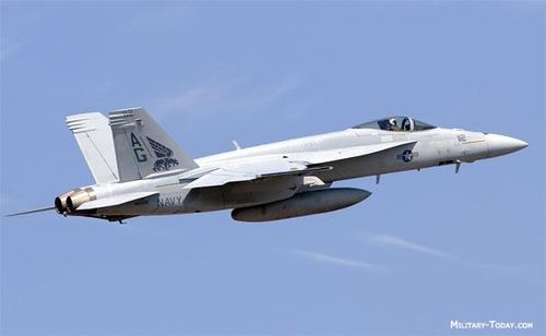 Chiến đấu cơ siêu thanh F/A-18 Super Hornet có thể thực hiện nhiều nhiệm vụ, bao gồm giành ưu thế trên không, hộ tống, do thám, tấn công mặt đất bất kể ngày đêm bằng vũ khí có điều khiển chính xác cao. “Ong bắp cày” F/A-18 là một phiên bản có kích thước lớn và hiện đại hơn được phát triển từ F/A-18C/D Hornet. Chúng bắt đầu hoạt động trong biên chế các đơn vị của Hải quân Mỹ vào năm 1999.