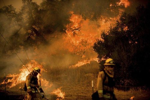 Ngay cả khi các nhân viên cứu hỏa đã nỗ lực kiểm soát 6 vụ cháy rừng lớn từ Santa Barbara tới San Diego và phần lớn người sơ tán đã được cho phép trở về nhà, dự báo gió mạnh lên tới hơn 80km/h có thể khiến lan rộng những đám cháy mới. Nguy cơ cháy cao dự kiến kéo dài vào tháng 1/2018 và các chuyên gia cho biết biến đổi khí hậu đang làm cho hỏa hoạn trở thành mối đe dọa quanh năm. 