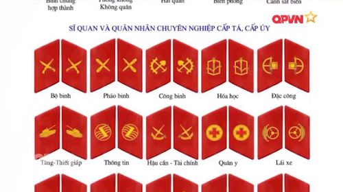 Phù hiệu của Quân đội Việt Nam mang trên ve cổ áo với kiểu dáng giống nhau hoàn toàn nhưng họa tiết khác nhau tùy thuộc theo từng quân binh chủng. Nguồn ảnh: QPVN.