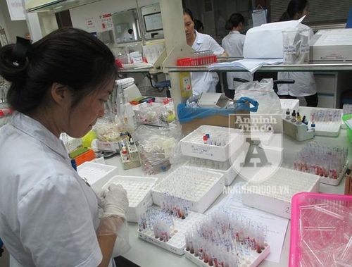 Nhiều người không biết rằng, để mỗi đơn vị máu tới tay người bệnh, là cả một quá trình kiểm thử kỹ lưỡng của các y, bác sĩ