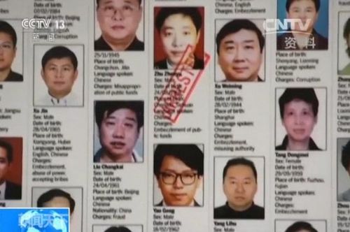 Những kẻ đào tẩu đã bị bắt và dẫn độ về Trung Quốc thông qua chiến dịch "Săn cáo". Ảnh: CCTV