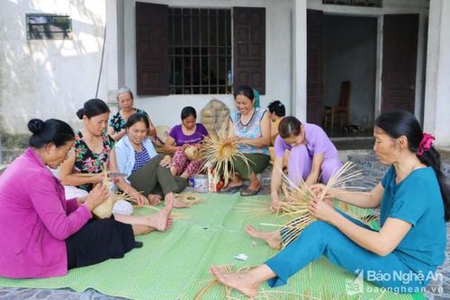 Phụ nữ xóm 4, xã Quỳnh Yên (Quỳnh Lưu) phục hồi nghề mây tre đan. Ảnh: Nguyễn Hải