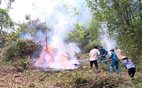 Người dân xã Thượng Lâm (Lâm Bình) diễn tập ứng phó cháy rừng và tìm kiếm cứu nạn năm 2019.