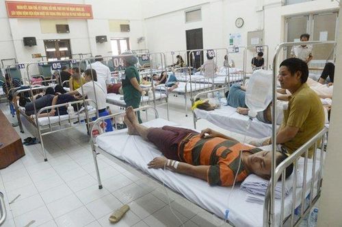 Dịch bệnh sốt xuất huyết đang diễn biến rất phức tạp.