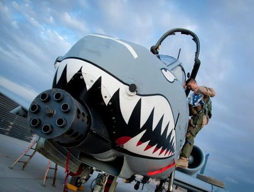 Số phận của A-10 từng vô cùng khó đoán định trong những năm vừa qua khi không quân Mỹ định thay thế nó bằng tiêm kích đa nhiệm F-35.