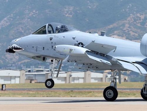 Số lượng máy bay A-10 Warthog được thay cánh chiếm khoảng 61% tổng số 282 chiếc đang được sở hữu bởi không quân Mỹ.