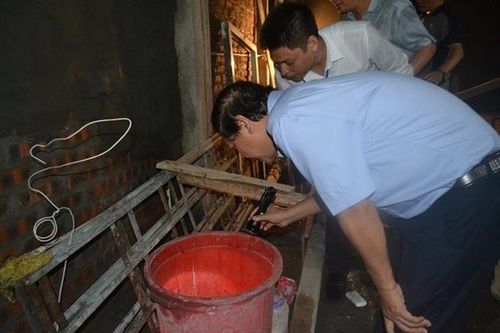 Kiểm tra phát hiện bọ gậy 