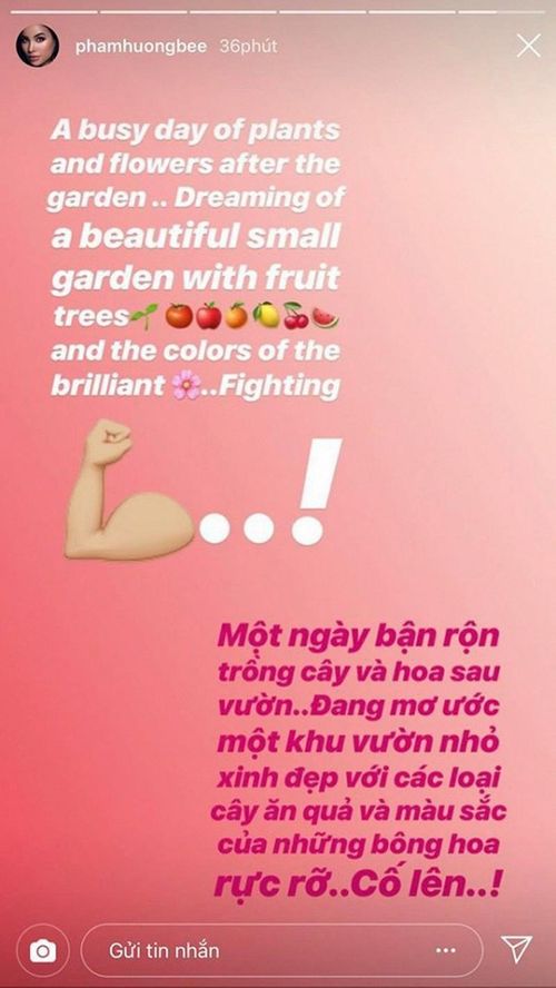  Trước đó, khi Phạm Hương thích thú khoe khoảnh khắc loạt cây trái vườn nhà bằng tiếng Anh cũng bị phát hiện sử dụng công cụ hỗ trợ dịch của google và mắc những lỗi rất cơ bản trong câu tiếng Anh.