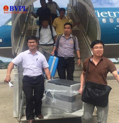 Mô tạng được chuyển về bệnh viện Trung ương Huế