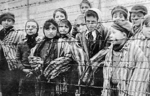  Những người may mắn sống sót sau những thí nghiệm điên rồ của Tiến sĩ Josef Mengele luôn luôn bị ám ảnh có thể bị sát hại hay cắt cơ thể ra ... 