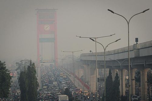 Lực lượng chức năng Indonesia còn bắt giữ gần 200 người liên quan đến vụ cháy rừng. Khoảng 40 chuyến bay và 3 sân bay phải tạm dừng hoạt động do khói mù. Ảnh: AFP