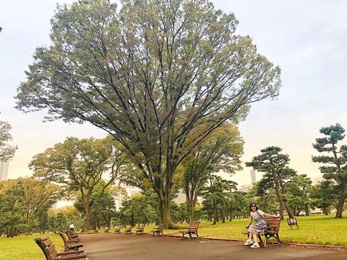 Một công viên ở thủ đô Tokyo tràn ngập nắng. Con đường đi với những tán cây rộng và hàng ghế hai bên là địa điểm check-in không thể thiếu đối với du khách nước ngoài.