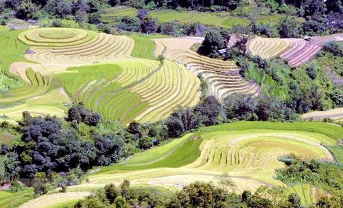 Ruộng bậc thang tại xã Xím Vàng, huyện Bắc Yên (Sơn La). (Ảnh: Quang Quyết/TTXVN)