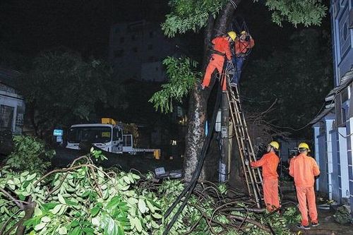 Công ty điện lực khắc phục sự cố.