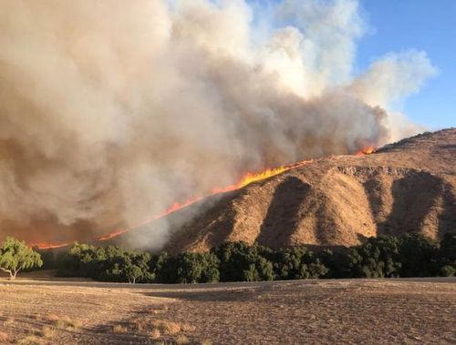  Tại nam California, các đám cháy mới là vụ cháy Easy tại thung lũng Simi, Hillside tại thung lũng Jurupa, phía Đông Los Angeles và vụ cháy rừng Dexter tại hạt Riverside. 