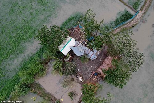 Tại vùng ven biển Khulna – khu vực chịu thiệt hại nặng nề nhất ở Bangladesh, hàng loạt cây cối đã bị gió thổi bật gốc, chắn ngang đường, khiến lực lượng cứu hộ gặp khó khăn khi di chuyển.