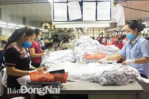 Công nhân Công ty cổ phần Đồng Tiến (TP.Biên Hòa) trong giờ làm việc. Ảnh: P.Hằng