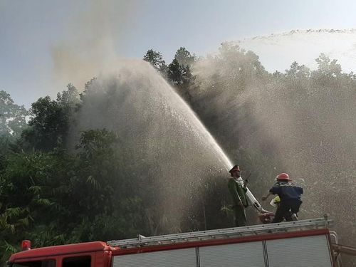 Các lực lượng tham gia diễn tập chống cháy rừng. Ảnh: Bích Hồng/BNEWS/TTXVN