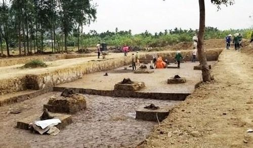 Từ việc người dân phát hiện 2 thân gỗ, sau đó cơ quan chức năng đã khai quật phát hiện thêm cả bãi cọc gỗ cổ