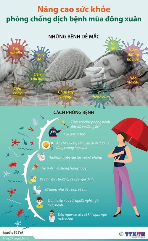 (Nhấp chuột để xem kích thước chuẩn)