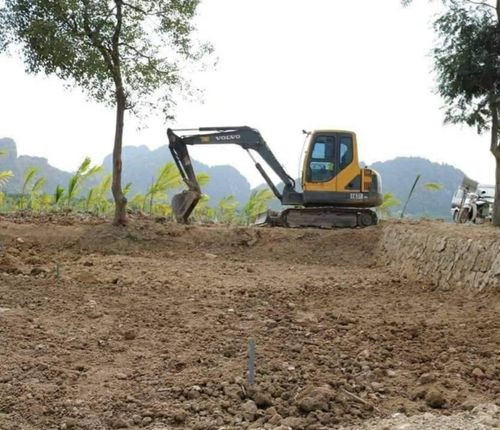 27 cọc phát lộ tại cánh đồng Cao Quỳ (Thủy Nguyên, Hải Phòng) được san lấp để bảo tồn