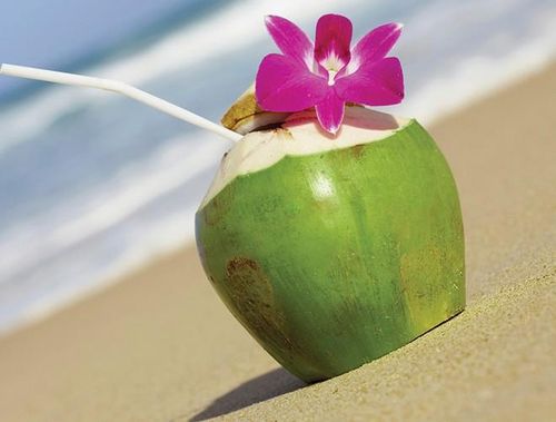 Theo các chuyên gia dinh dưỡng, thói quen uống nước dừa hằng ngày sẽ giúp hệ miễn dịch của cơ thể sẽ khỏe mạnh hơn, ngăn ngừa các căn bệnh ngoài ý muốn