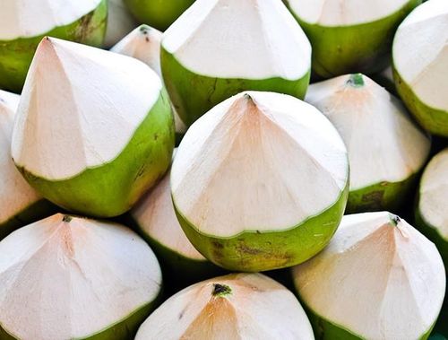 Cụ thể, chất Cytokinin được tìm thấy trong nước dừa có tác dụng giúp cơ thể điều chỉnh sự phát triển tế bào da
