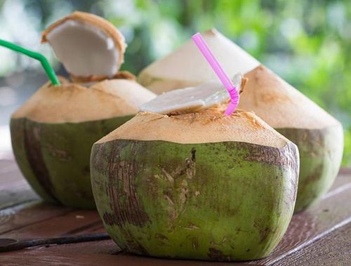 Không chỉ dùng để giải khác, nước dừa còn được dùng trong y tế để điều trị chứng mất nước mỗi khi cơ thể bị bệnh lỵ, dịch tả, tiêu chảy, cúm và sự cân bằng chất điện phân