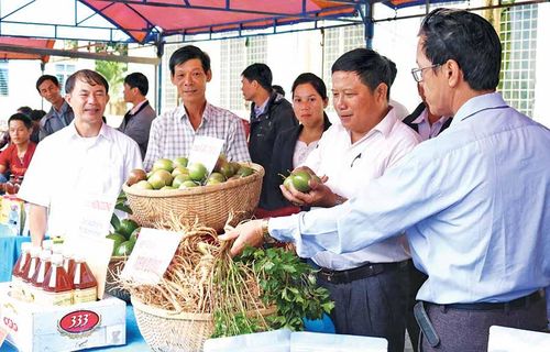 Nhiều sản phẩm nông sản của nông dân huyện Chư Sê trưng bày tại Hội nghị tổng kết phong trào nông dân sản xuất, kinh doanh giỏi giai đoạn 2017-2019.