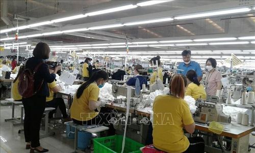Phát khẩu trang cho công nhân tại nhà máy của công ty TNHH Yakjin Sài Gòn thuộc KCN Bắc Đồng Phú, tỉnh Bình Phước. Ảnh: Dương Chí Tưởng/TTXVN