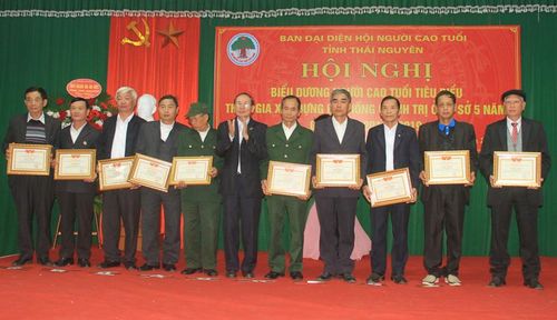 Ban Đại diện Hội NCT tỉnh trao Bằng khen cho các cá nhân tiêu biểu có thành tích xuất sắc tham gia xây dựng hệ thống chính trị ở cơ sở giai đoạn 2014-2019.