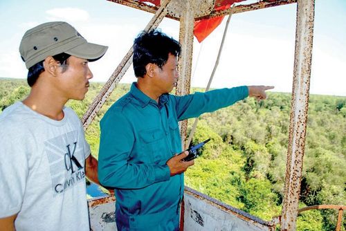 Lực lượng chức năng túc trực trên chòi canh lửa để quan sát, bảo vệ rừng ở ĐBSCL. Ảnh: TẤN THÁI